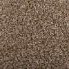 Carpet flooring from Momentum Collection with soft texture and modern style