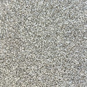 Northstar Collection