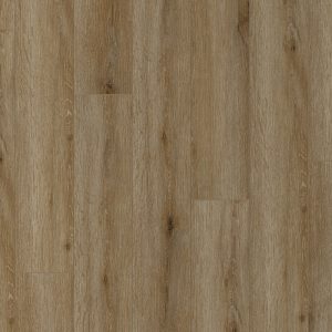 Equinox Collection