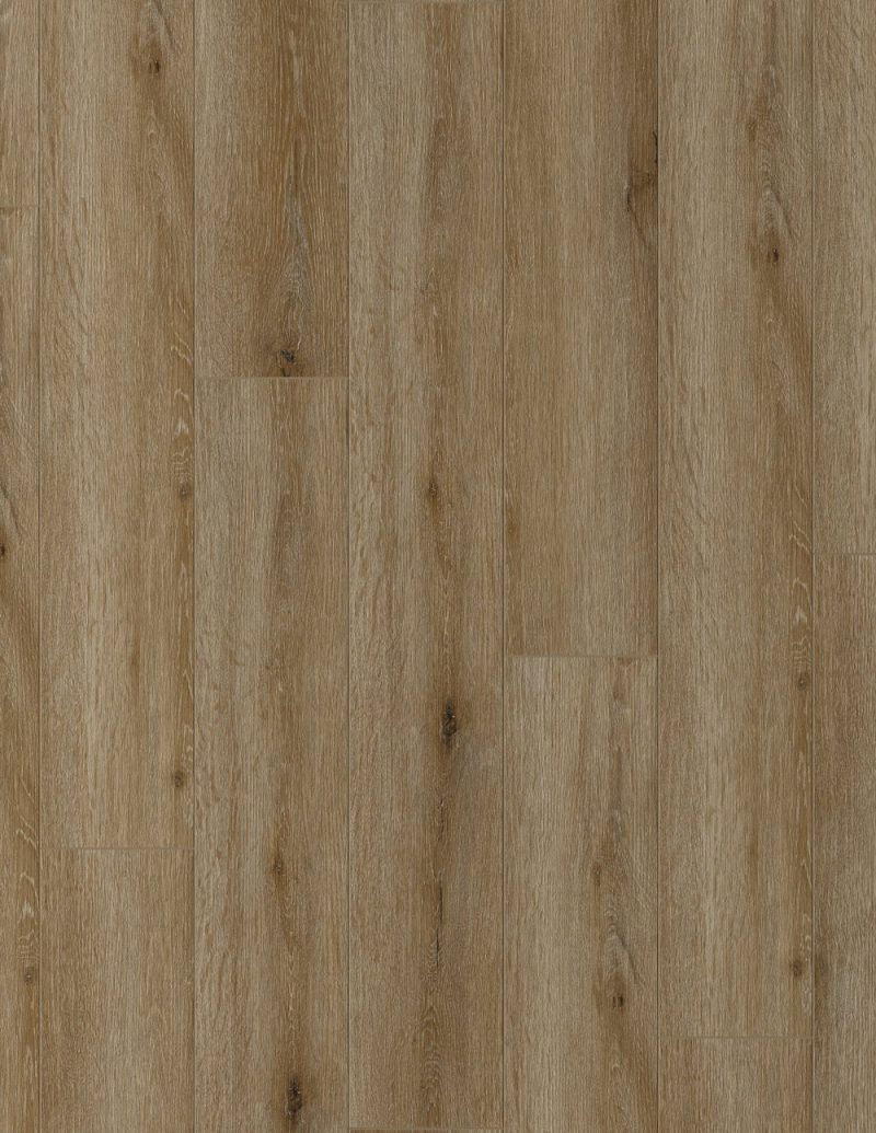 Equinox Collection