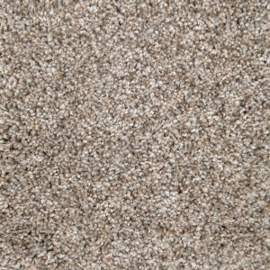 Carpet flooring from Monarch Collection with elegant design and soft texture
