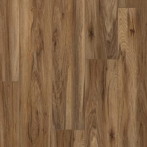 Sheffield Collection