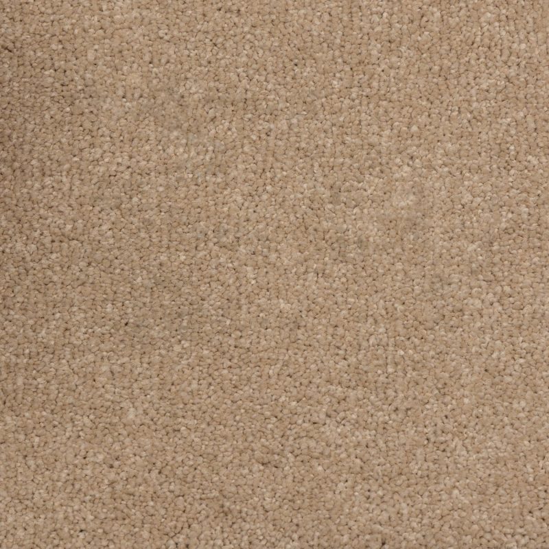 Home 28 Mystical Collection carpet flooring with soft touch and refined style