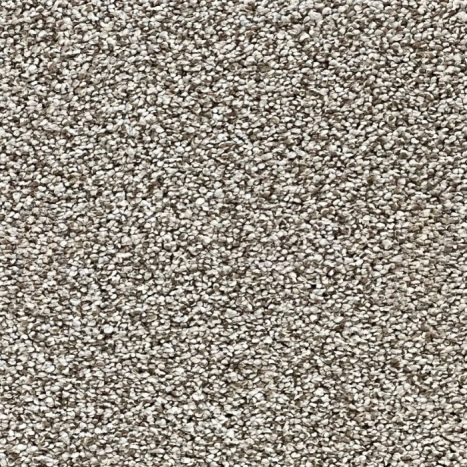 Graceful Collection 2 Graceful Collection