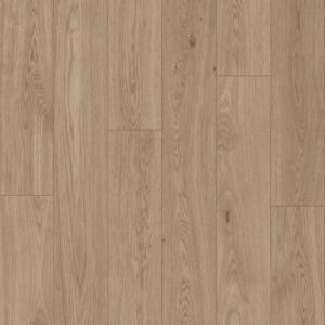 Bravewood Collection 2 Bravewood Collection - Image 2