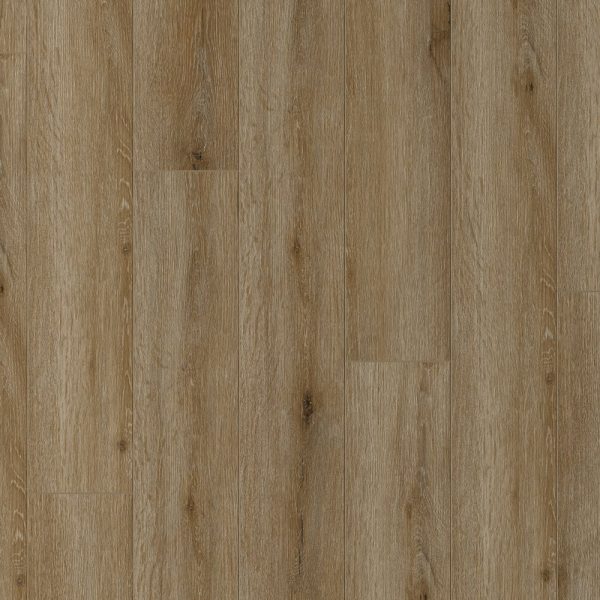 Equinox Collection