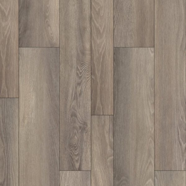 Equinox Multi Collection